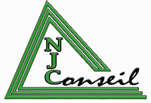 njc-conseil-logo-triangle-menu-300x205nbn1tr